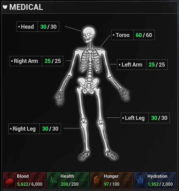 0.6.0 Medical Panel (new)