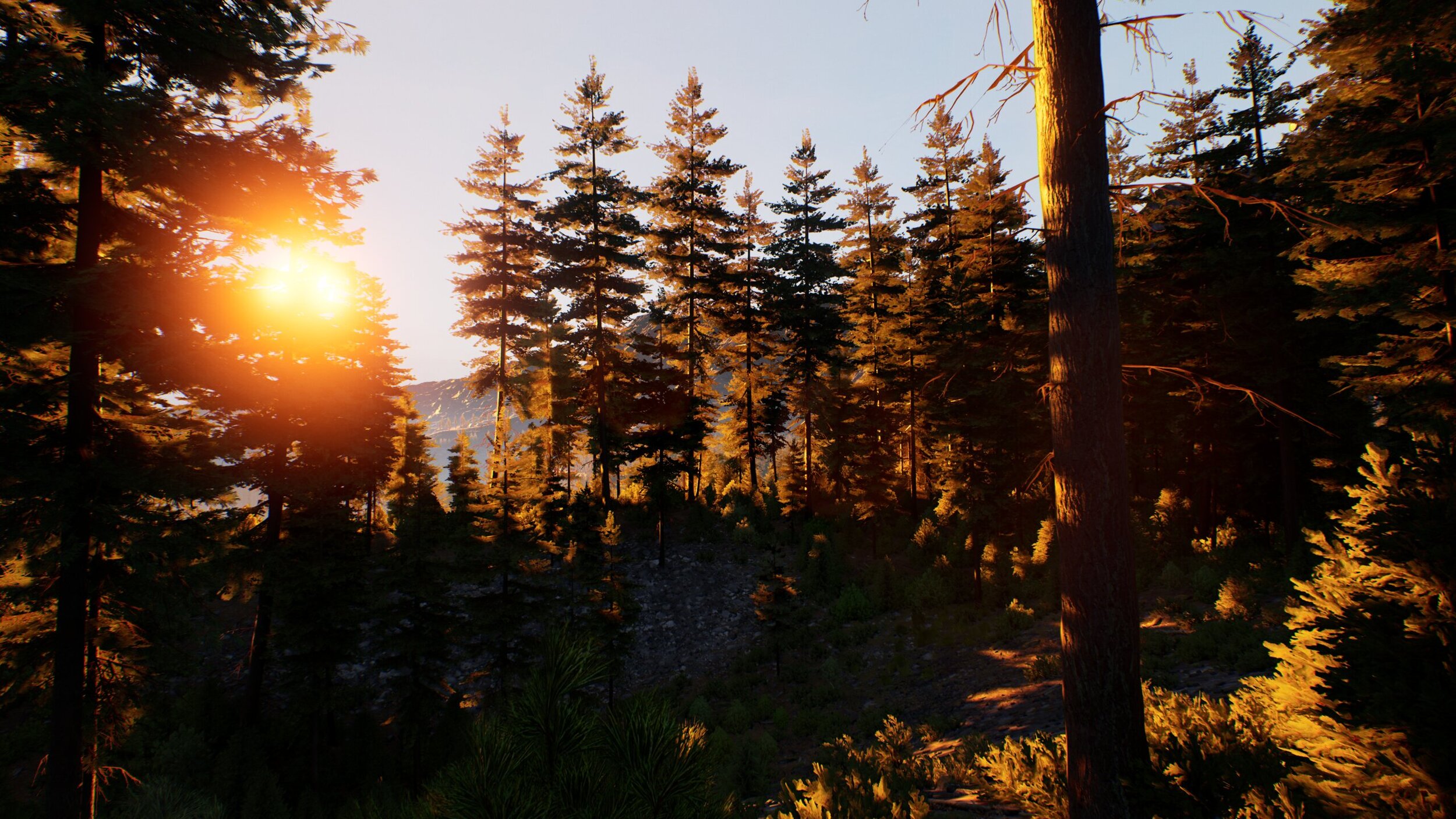 Cover Image for LETTER FROM THE PROJECT LEAD